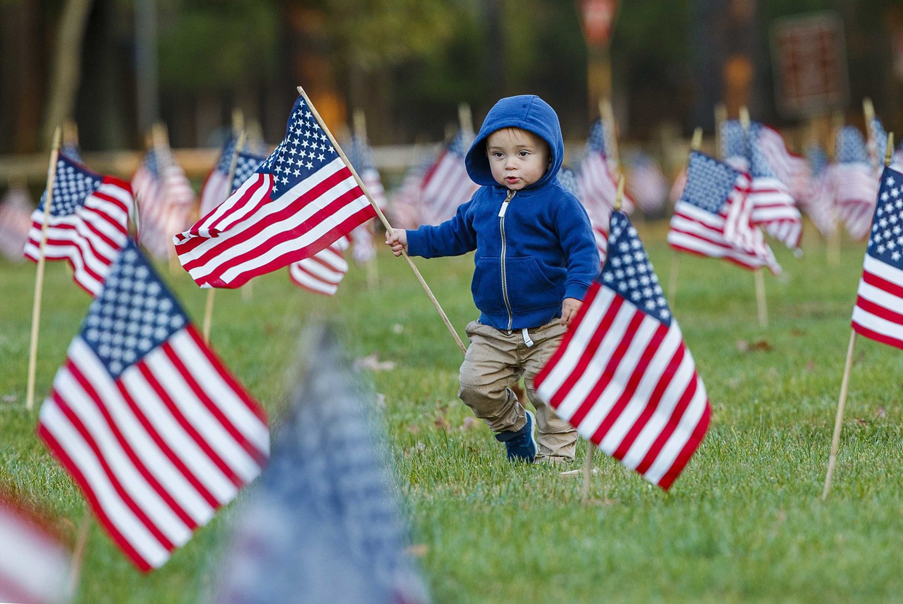 Scouts planted American Flags ahead of Veteran Day